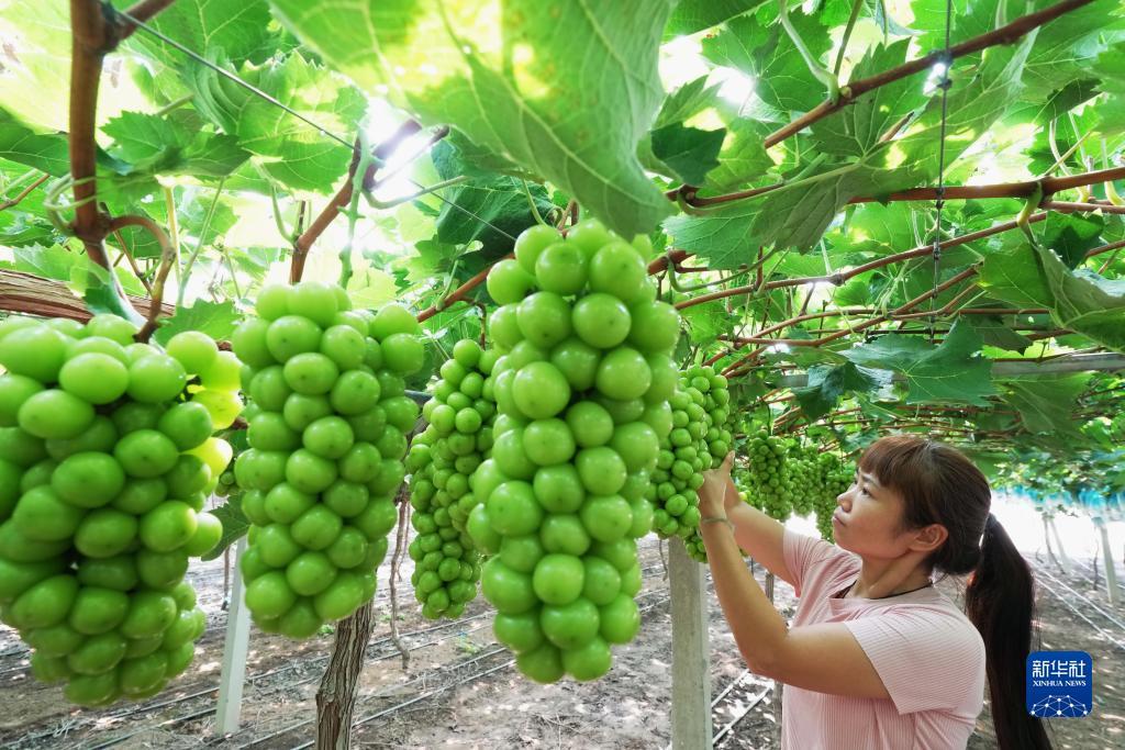 亚盛国际平台登陆